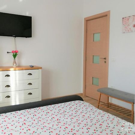 Cozy Apartment Bujorilor Suceava Eksteriør bilde