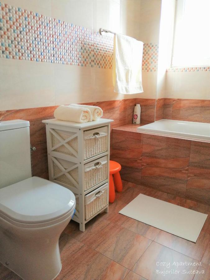 Cozy Apartment Bujorilor Suceava Eksteriør bilde
