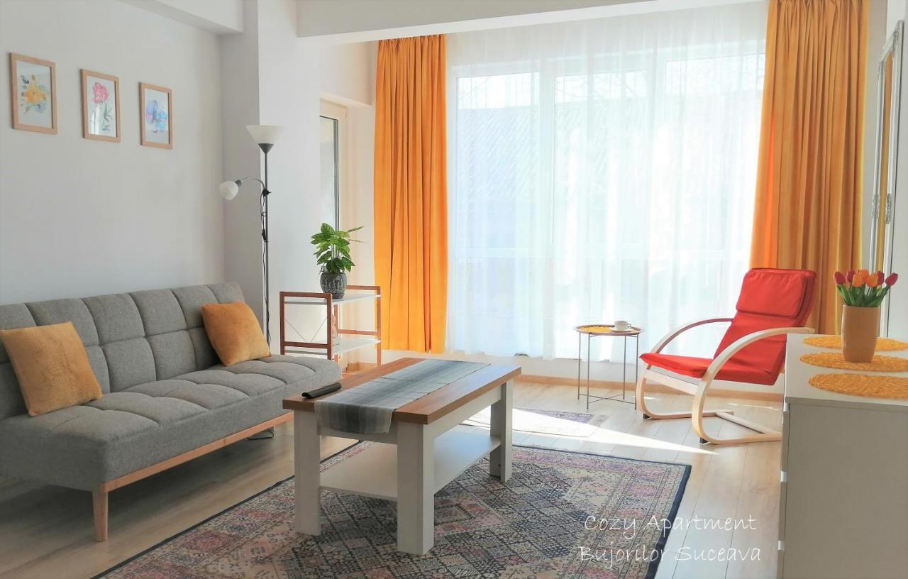 Cozy Apartment Bujorilor Suceava Eksteriør bilde