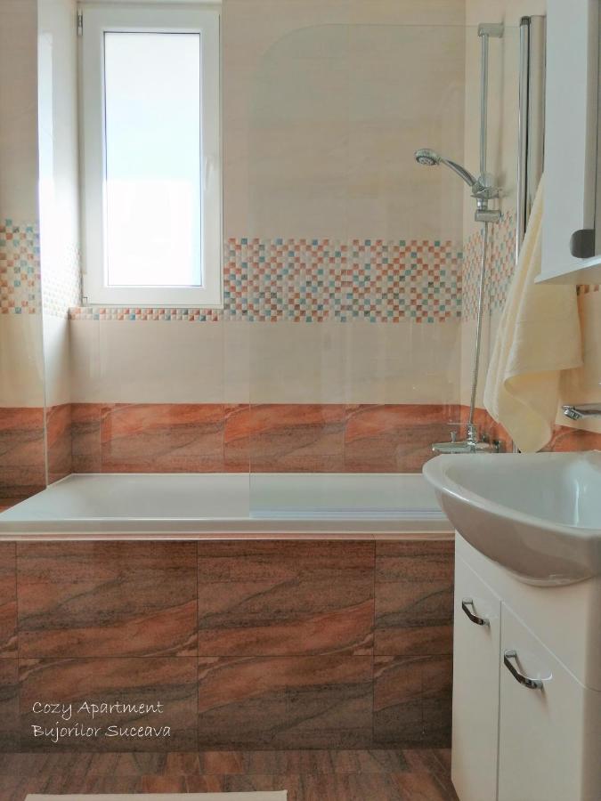 Cozy Apartment Bujorilor Suceava Eksteriør bilde