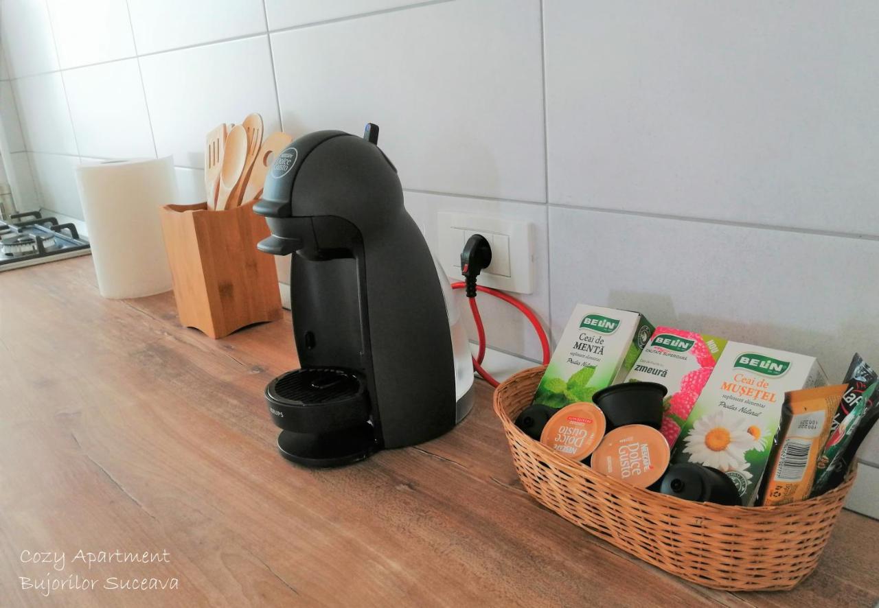 Cozy Apartment Bujorilor Suceava Eksteriør bilde