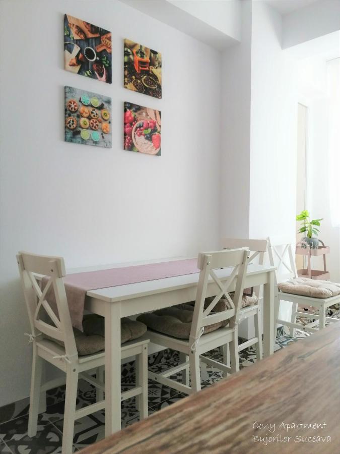 Cozy Apartment Bujorilor Suceava Eksteriør bilde