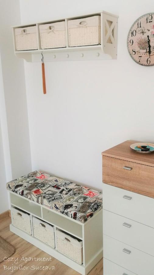Cozy Apartment Bujorilor Suceava Eksteriør bilde