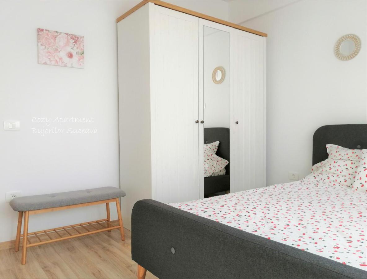 Cozy Apartment Bujorilor Suceava Eksteriør bilde