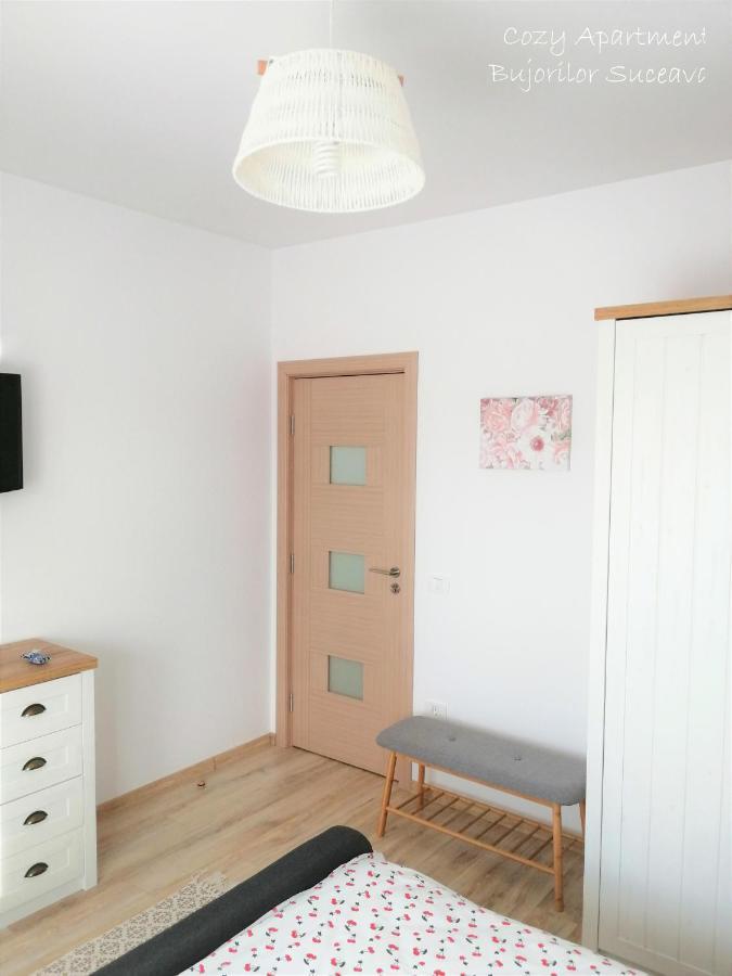 Cozy Apartment Bujorilor Suceava Eksteriør bilde