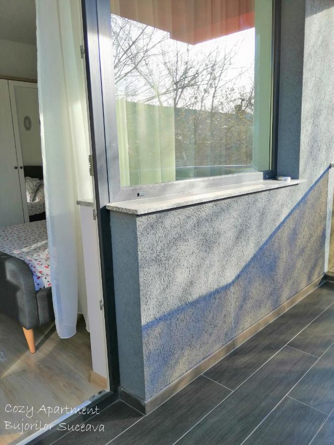 Cozy Apartment Bujorilor Suceava Eksteriør bilde