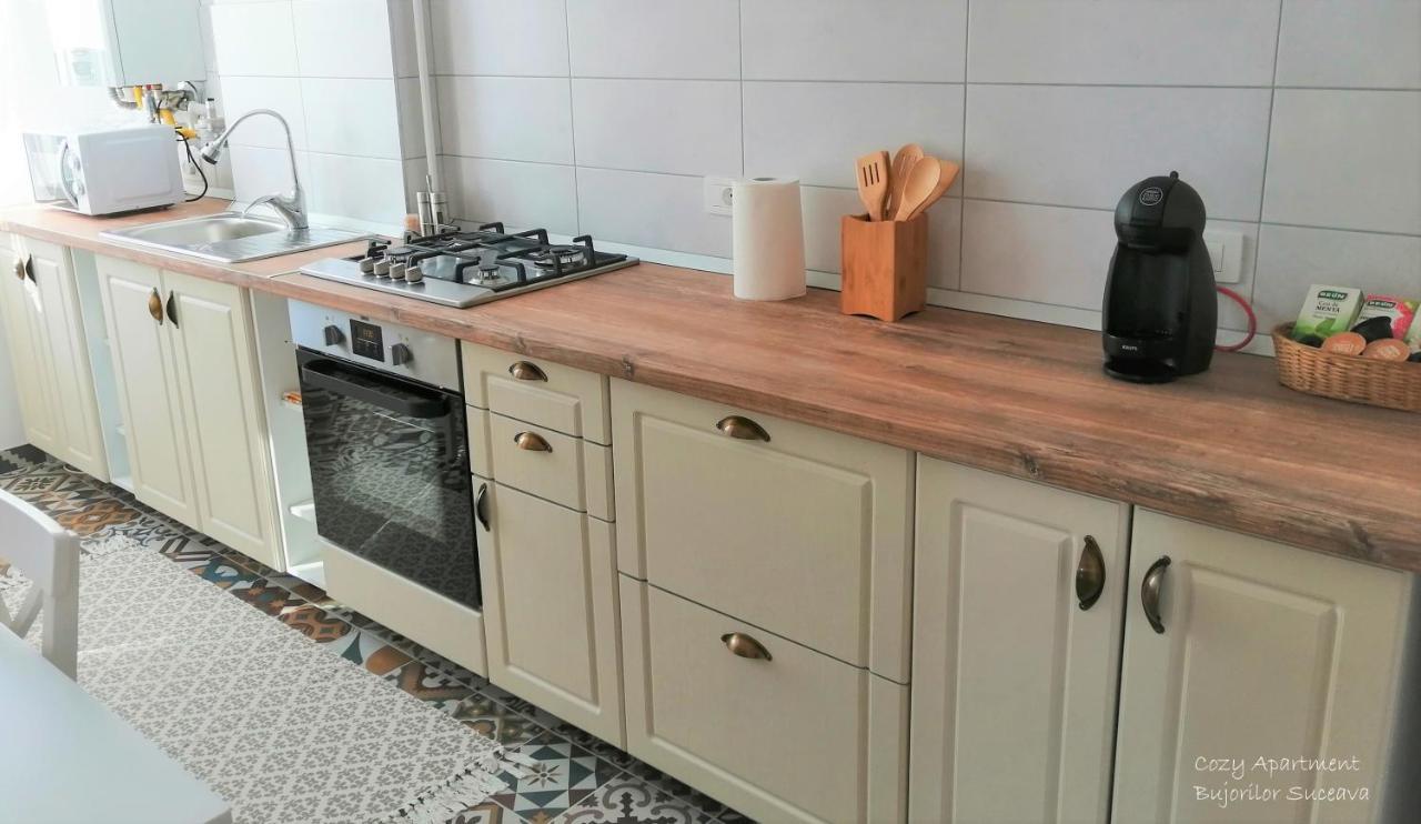 Cozy Apartment Bujorilor Suceava Eksteriør bilde