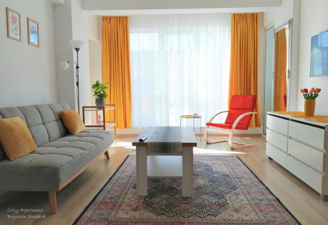 Cozy Apartment Bujorilor Suceava Eksteriør bilde