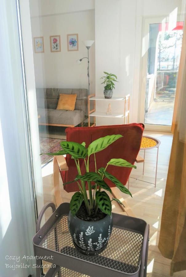 Cozy Apartment Bujorilor Suceava Eksteriør bilde