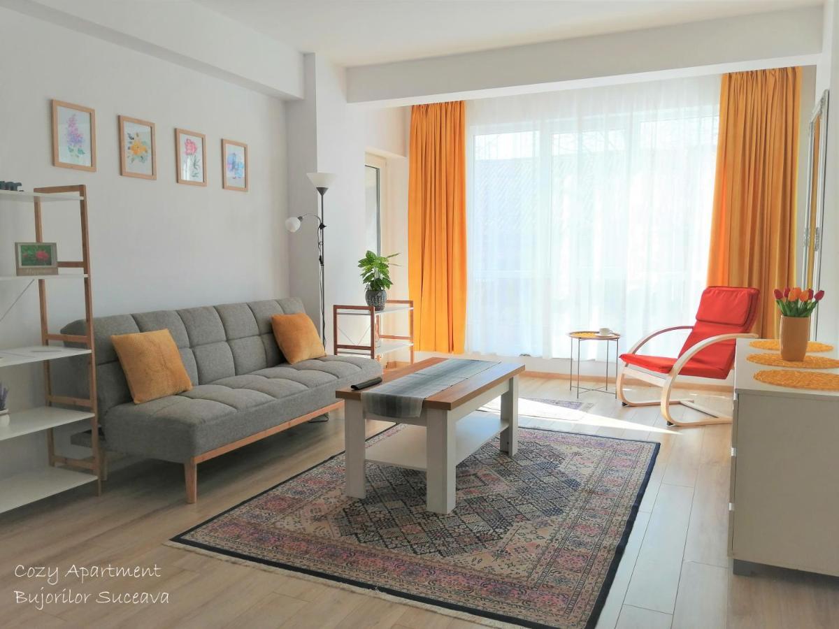 Cozy Apartment Bujorilor Suceava Eksteriør bilde