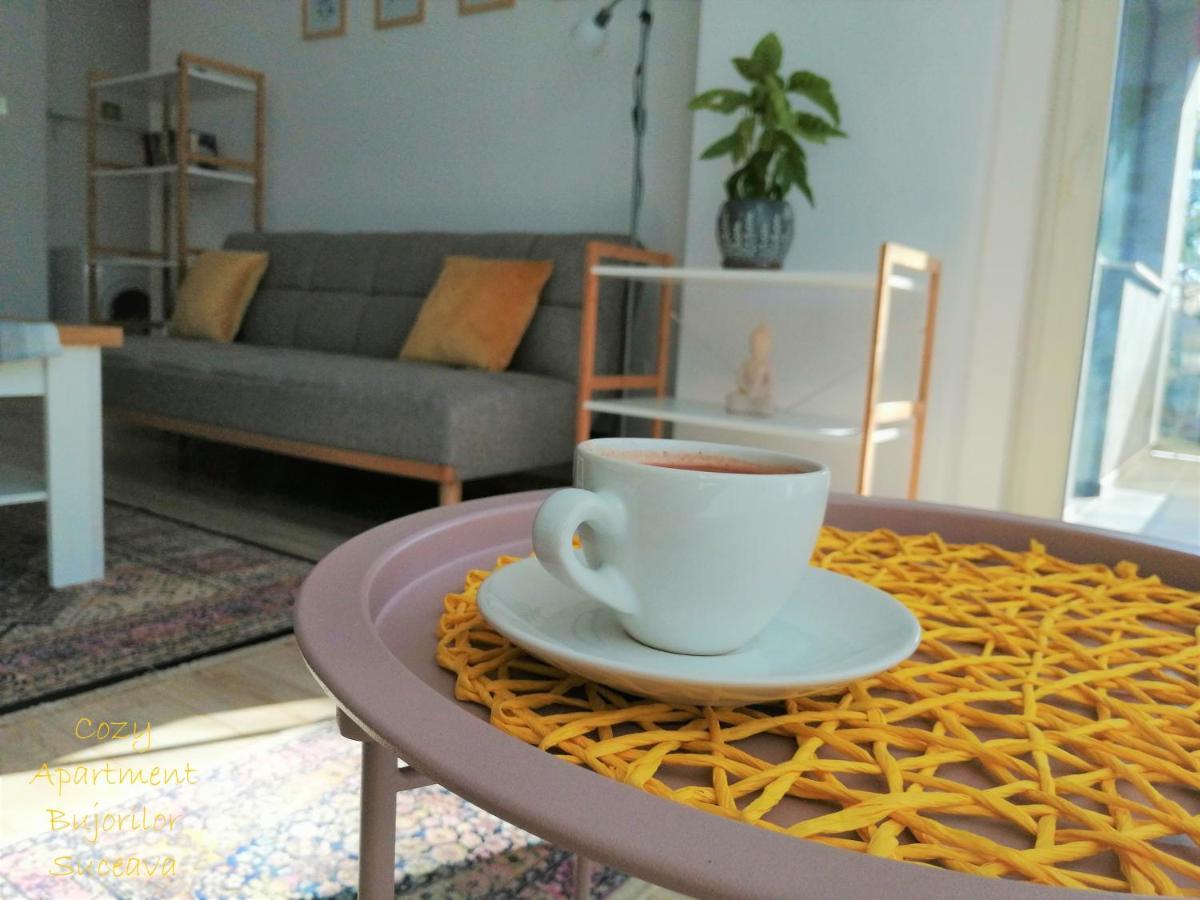Cozy Apartment Bujorilor Suceava Eksteriør bilde