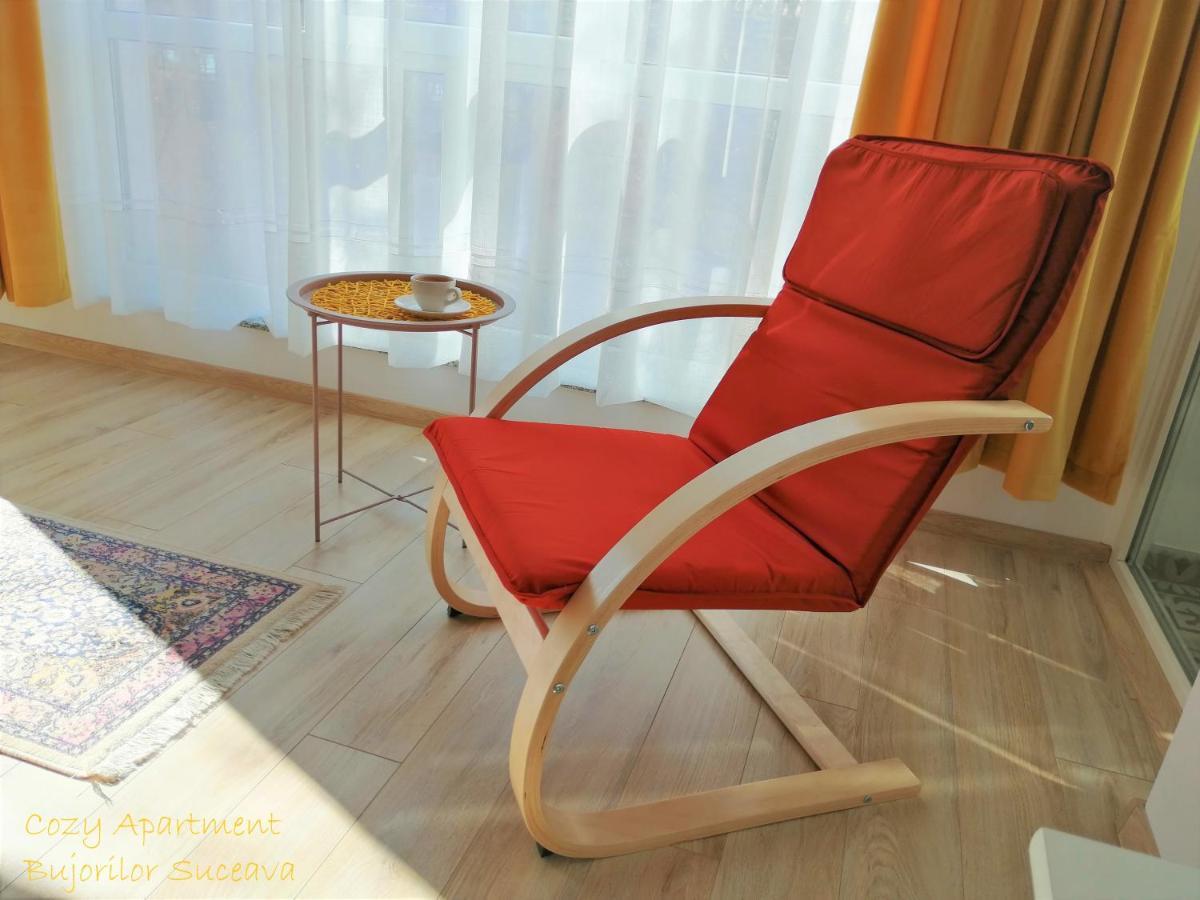 Cozy Apartment Bujorilor Suceava Eksteriør bilde