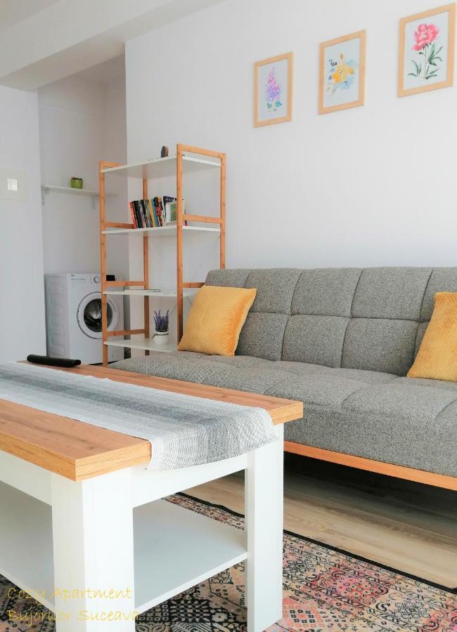 Cozy Apartment Bujorilor Suceava Eksteriør bilde