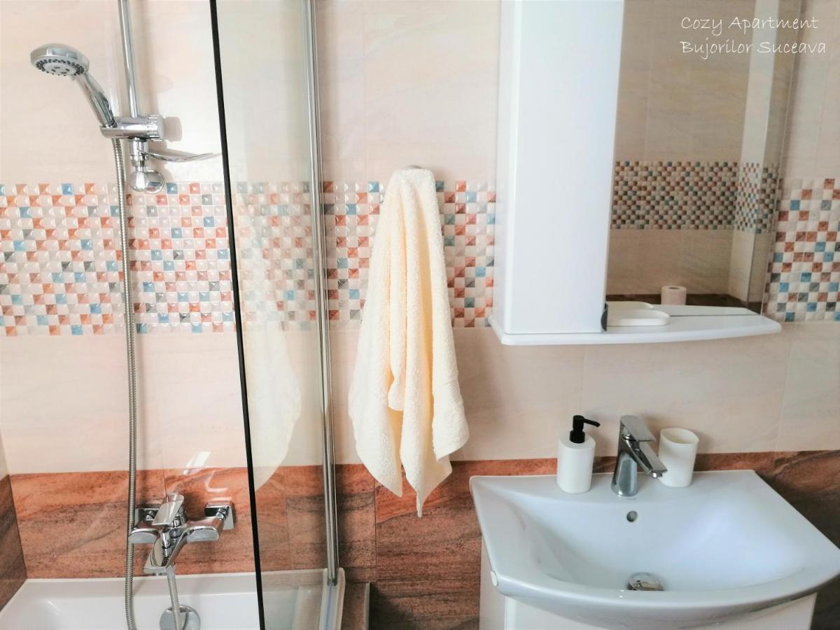 Cozy Apartment Bujorilor Suceava Eksteriør bilde