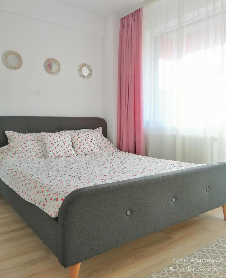 Cozy Apartment Bujorilor Suceava Eksteriør bilde