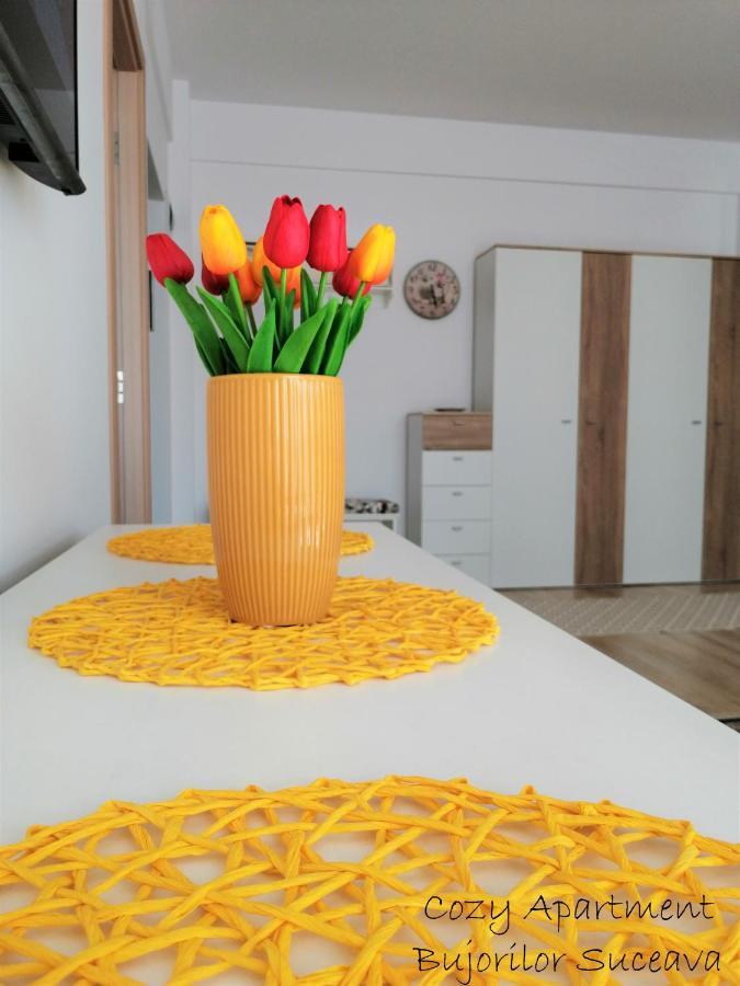 Cozy Apartment Bujorilor Suceava Eksteriør bilde