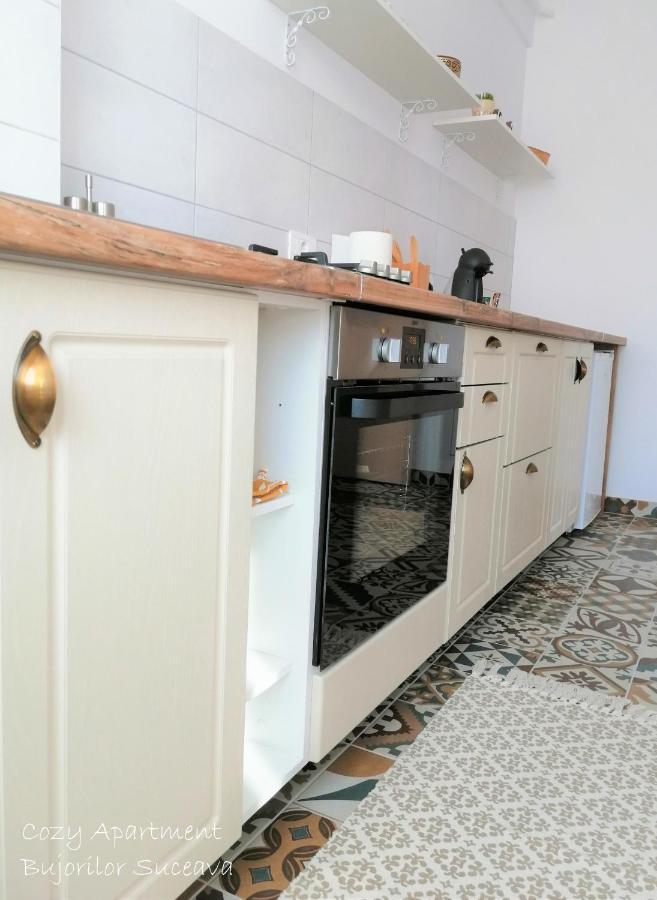 Cozy Apartment Bujorilor Suceava Eksteriør bilde
