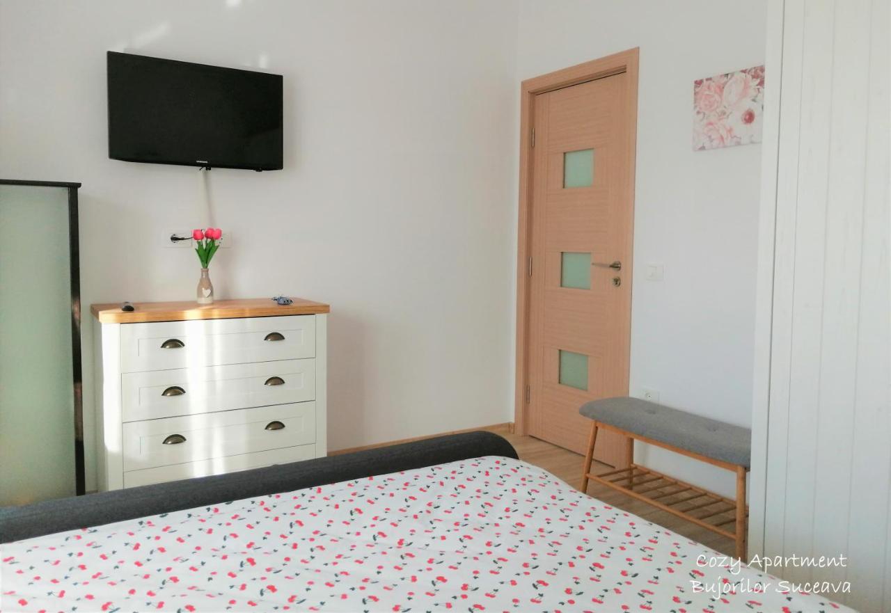 Cozy Apartment Bujorilor Suceava Eksteriør bilde