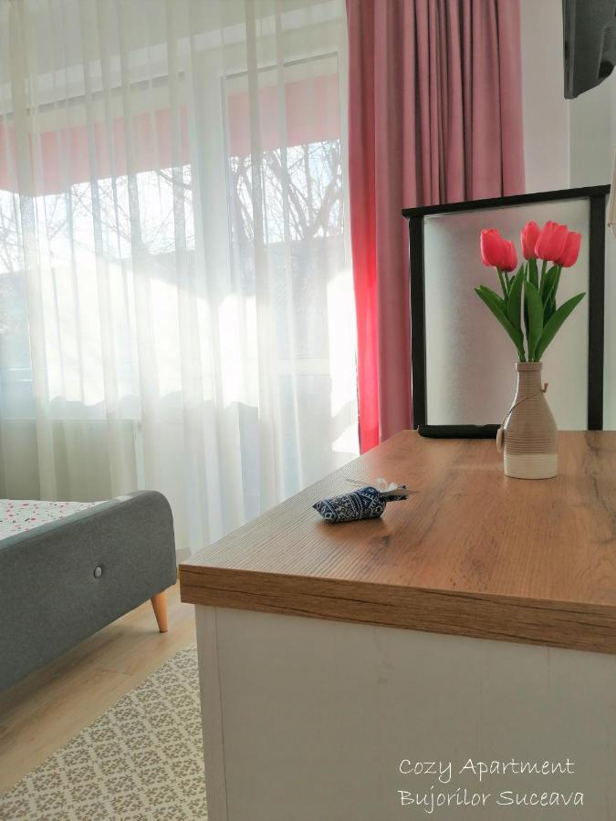 Cozy Apartment Bujorilor Suceava Eksteriør bilde