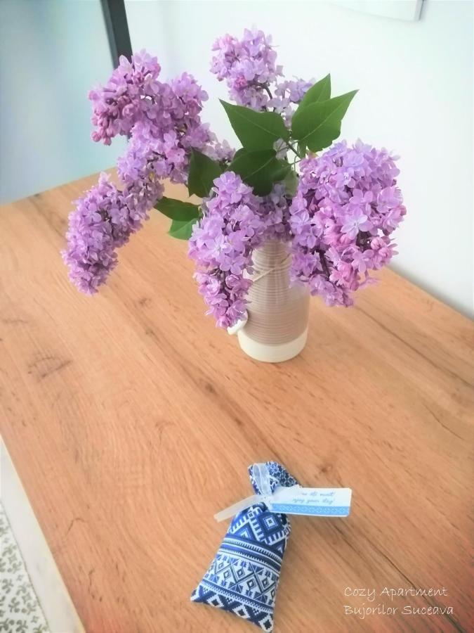 Cozy Apartment Bujorilor Suceava Eksteriør bilde