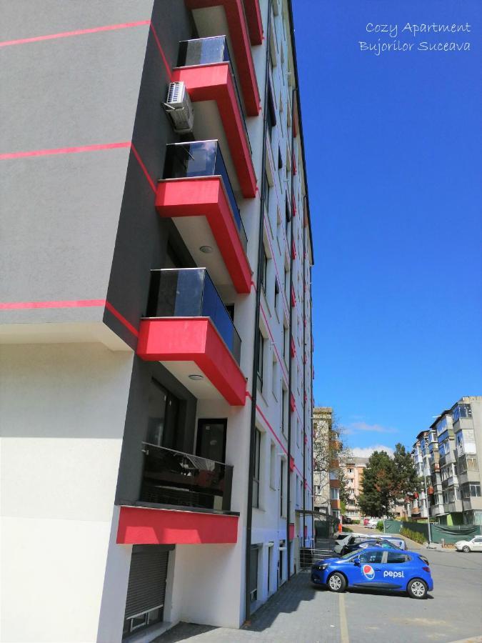 Cozy Apartment Bujorilor Suceava Eksteriør bilde
