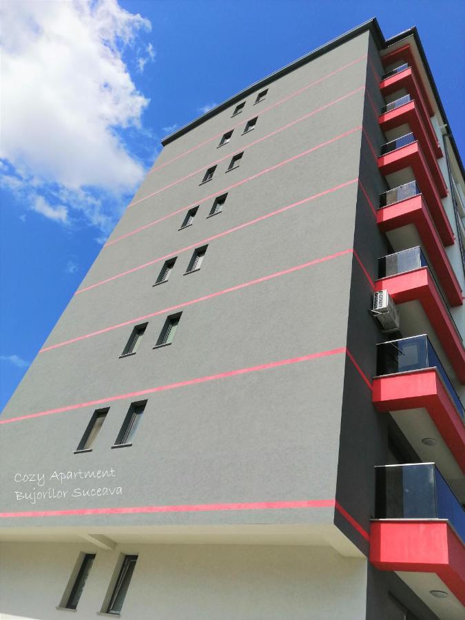 Cozy Apartment Bujorilor Suceava Eksteriør bilde