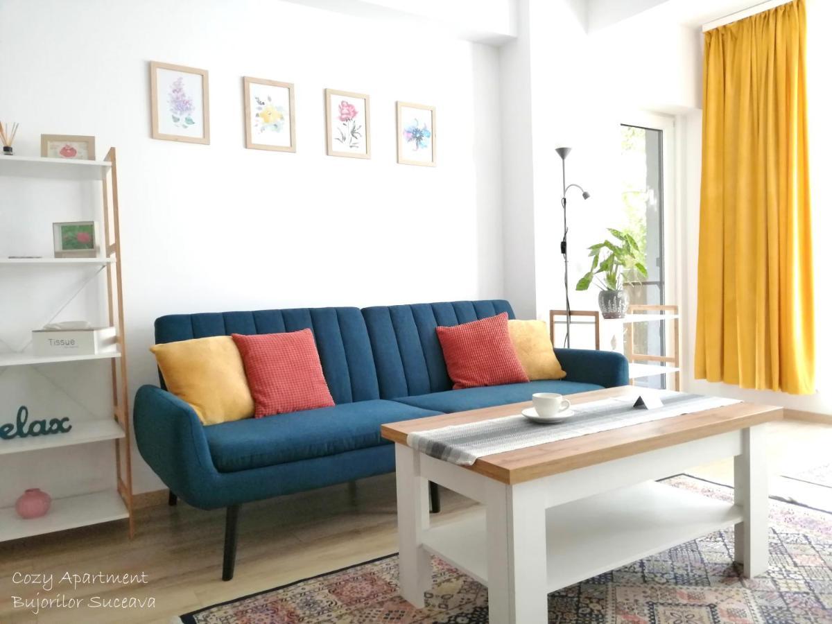 Cozy Apartment Bujorilor Suceava Eksteriør bilde