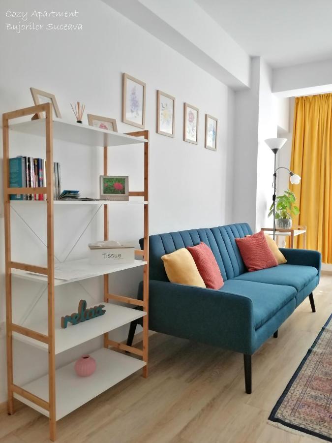 Cozy Apartment Bujorilor Suceava Eksteriør bilde